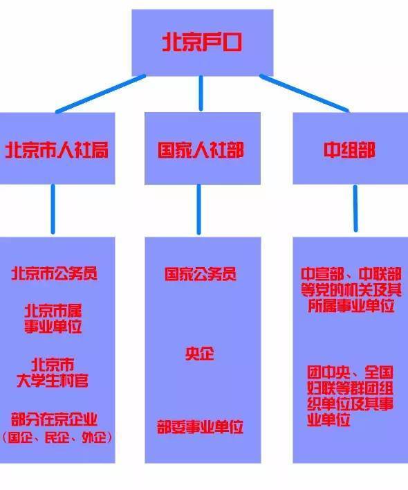 2024新澳今晚资料鸡号几号,逻辑研究解答解释路径_Y版2.946