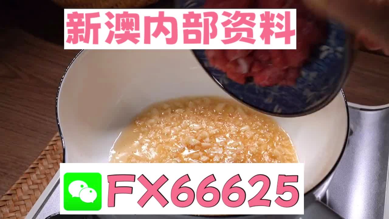 新澳门精准10码中特,正规解答解释落实_弹性版51.46.88